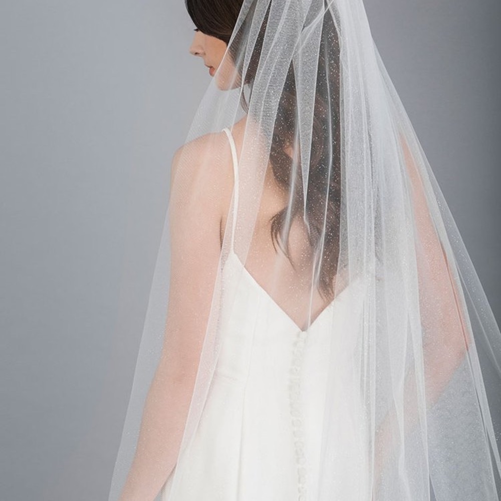 Bel Aire Bridal Designer Cathedral Diamond Dust Tulle Veil NWT V7647